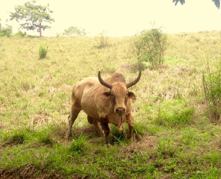 2016-05-23_152332497_C1A53_iOS.jpg image