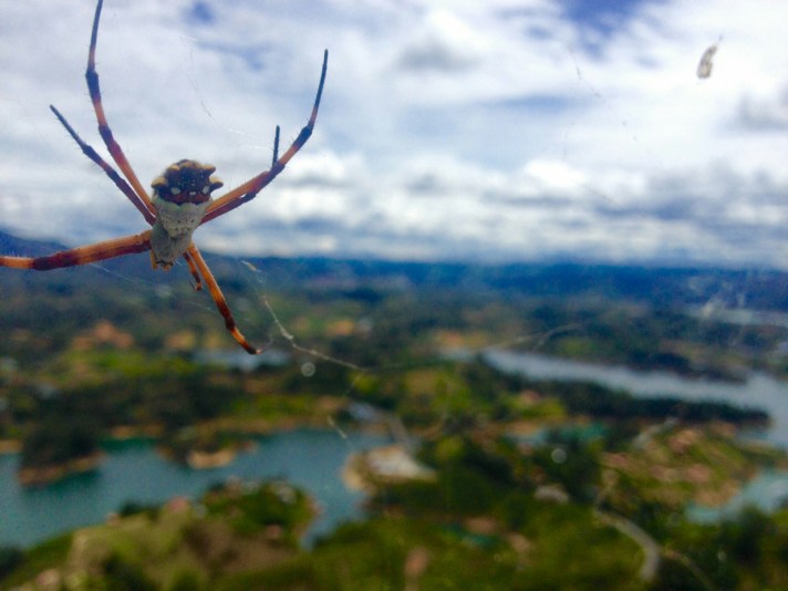 2016-07-01_180828341_C4F48_iOS.jpg image